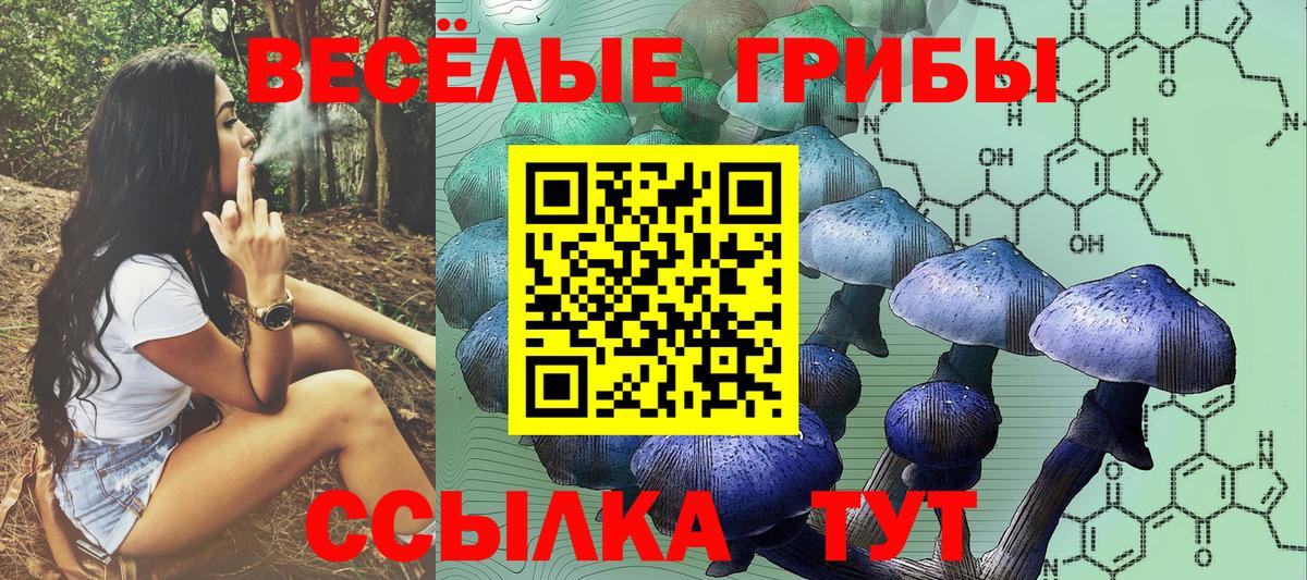 Тимашёвск  Псилоцибиновые грибы MAGIC MUSHROOMS  Вход с VPN  Псилоцибиновые грибы Psilocybe 